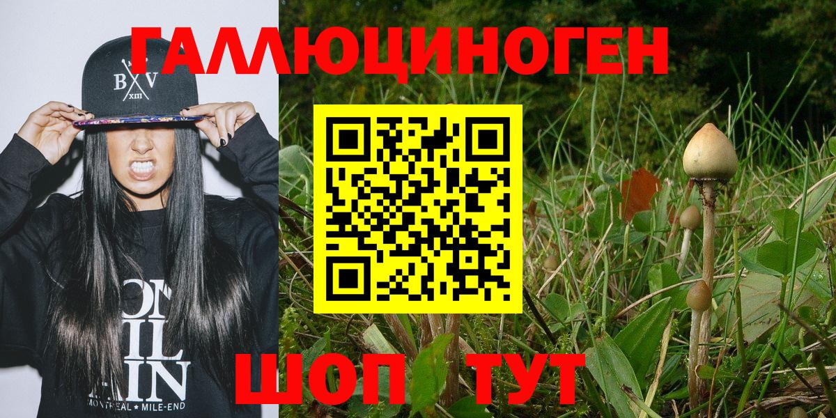Соль-Илецк  Галлюциногенные грибы прущие грибы  Вход с VPN 