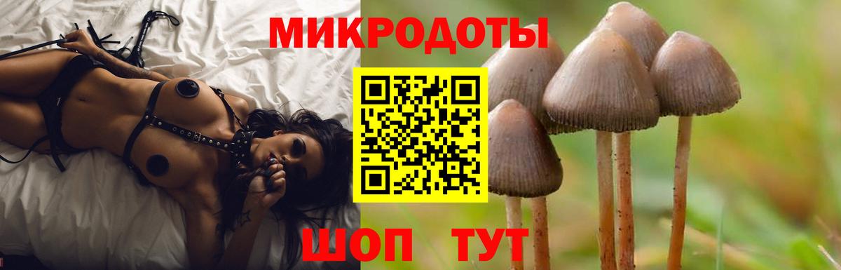 Галлюциногенные грибы GOLDEN TEACHER Соль-Илецк